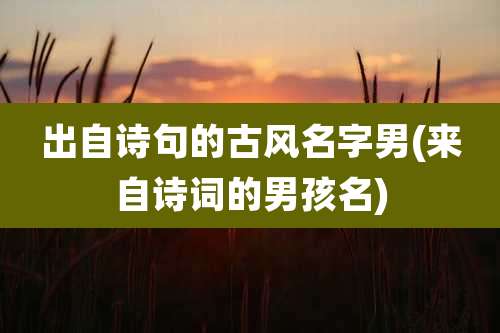 出自诗句的古风名字男(来自诗词的男孩名)