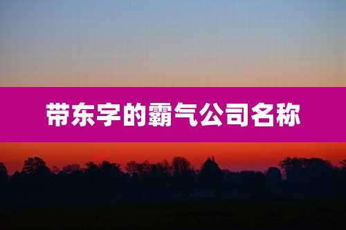 带东字的霸气公司名称