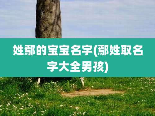 姓鄢的宝宝名字(鄢姓取名字大全男孩)