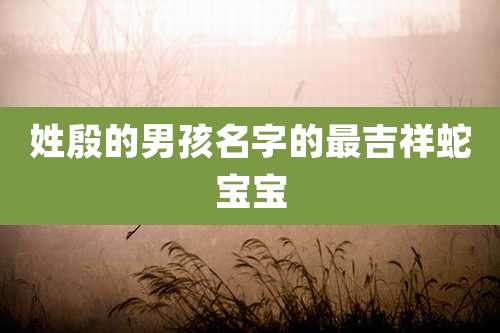 姓殷的男孩名字的最吉祥蛇宝宝