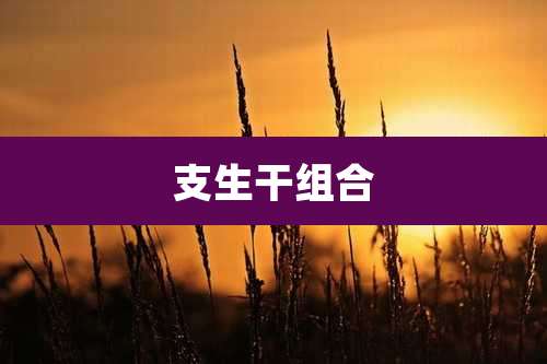 支生干组合