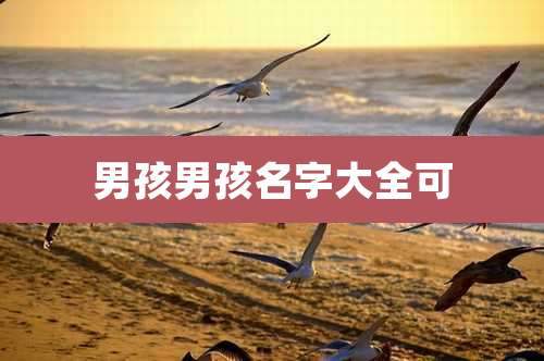 男孩男孩名字大全可