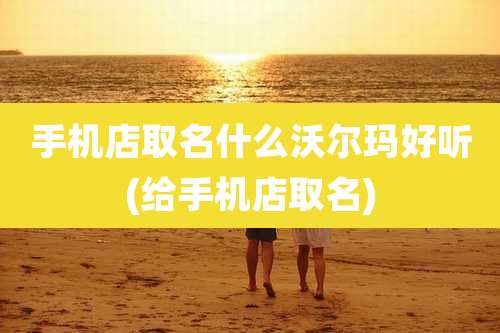 手机店取名什么沃尔玛好听(给手机店取名)