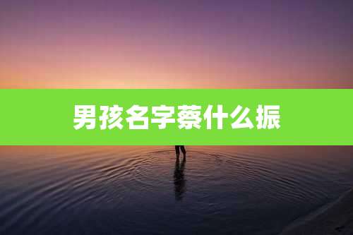 男孩名字蔡什么振