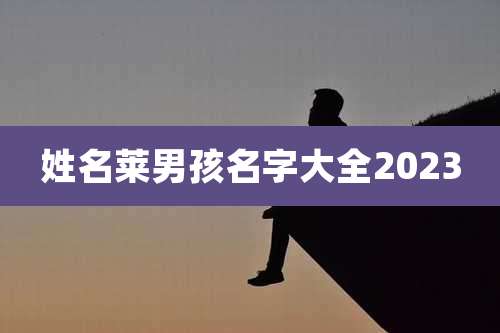 姓名莱男孩名字大全2023