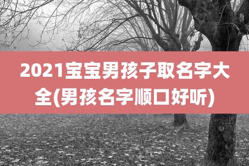 2021宝宝男孩子取名字大全(男孩名字顺口好听)