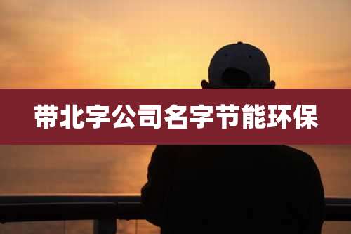 带北字公司名字节能环保