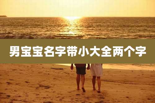 男宝宝名字带小大全两个字