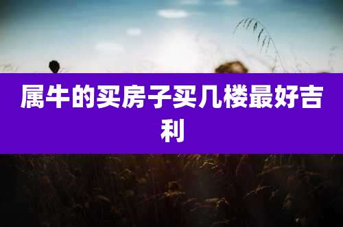 属牛的买房子买几楼最好吉利