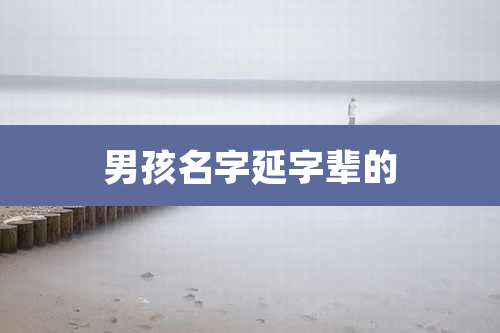 男孩名字延字辈的