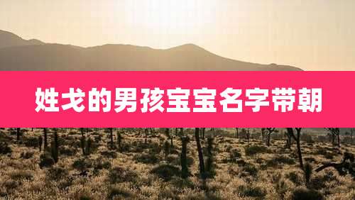 姓戈的男孩宝宝名字带朝