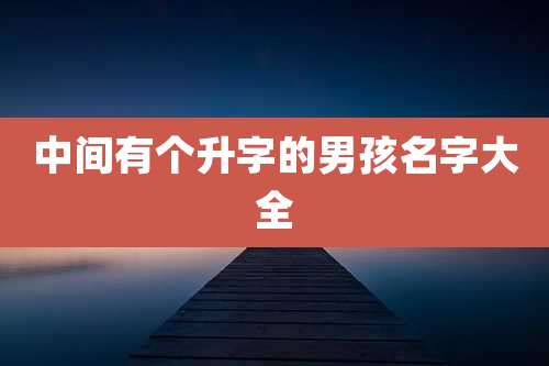 中间有个升字的男孩名字大全