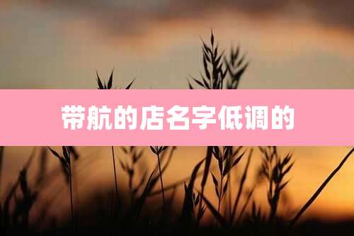 带航的店名字低调的