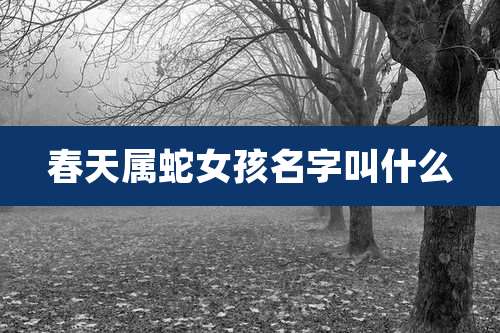 春天属蛇女孩名字叫什么