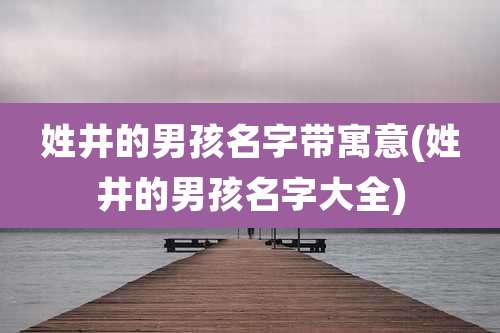姓井的男孩名字带寓意(姓井的男孩名字大全)