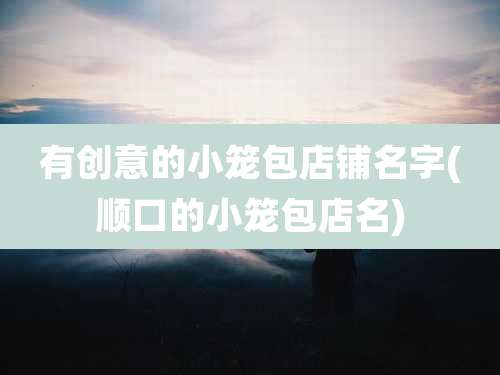 有创意的小笼包店铺名字(顺口的小笼包店名)