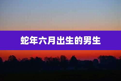 蛇年六月出生的男生