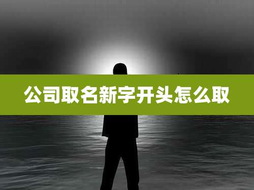 公司取名新字开头怎么取