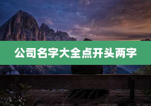 公司名字大全点开头两字