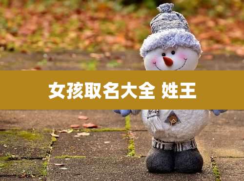 女孩取名大全 姓王