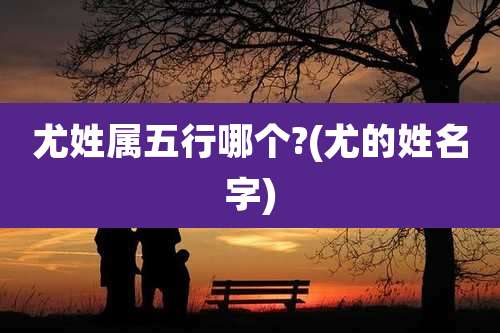 尤姓属五行哪个?(尤的姓名字)