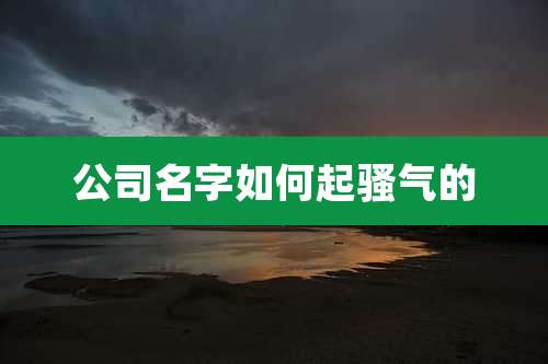公司名字如何起骚气的