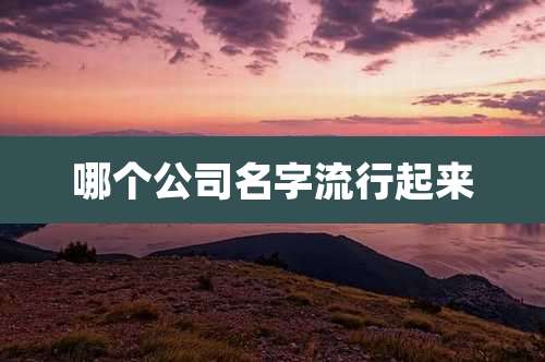 哪个公司名字流行起来