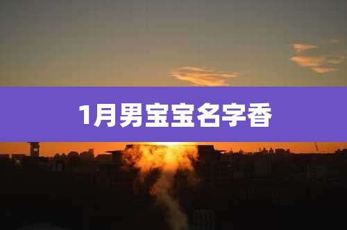 1月男宝宝名字香