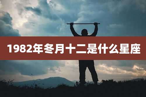 1982年冬月十二是什么星座