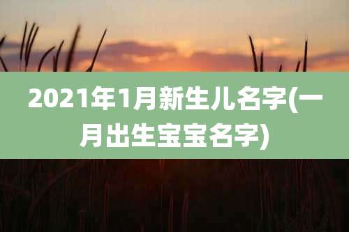 2021年1月新生儿名字(一月出生宝宝名字)