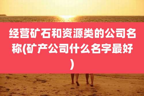 经营矿石和资源类的公司名称(矿产公司什么名字最好)