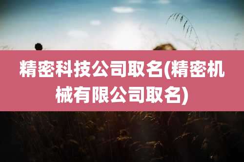 精密科技公司取名(精密机械有限公司取名)