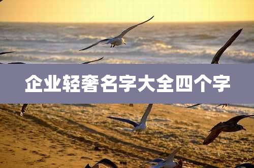 企业轻奢名字大全四个字