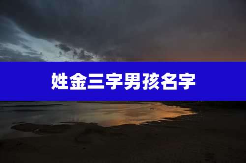 姓金三字男孩名字