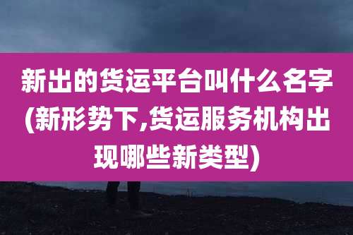 新出的货运平台叫什么名字(新形势下,货运服务机构出现哪些新类型)
