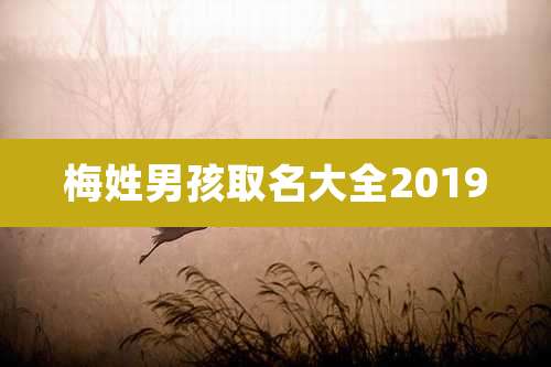 梅姓男孩取名大全2019