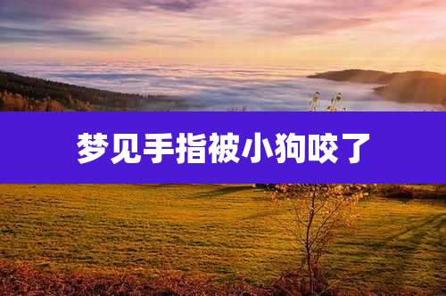 梦见手指被小狗咬了