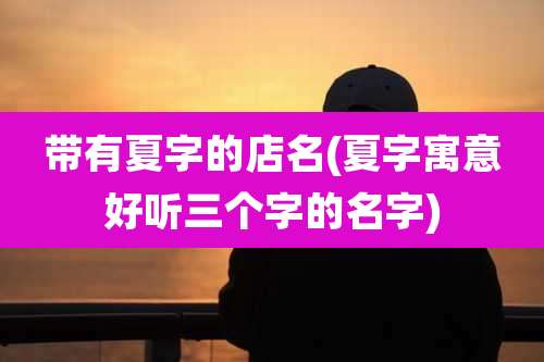 带有夏字的店名(夏字寓意好听三个字的名字)