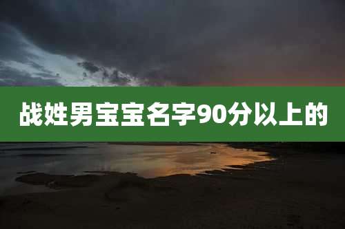 战姓男宝宝名字90分以上的