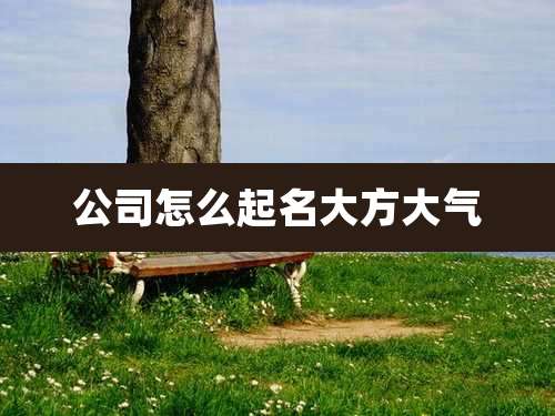公司怎么起名大方大气