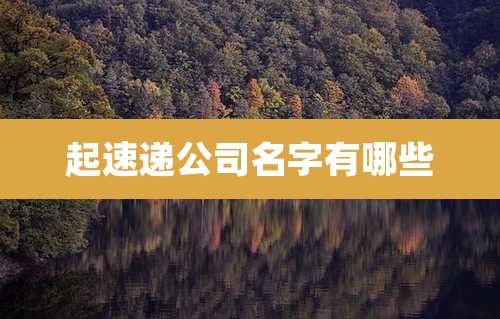 起速递公司名字有哪些