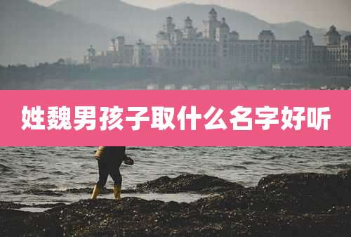 姓魏男孩子取什么名字好听