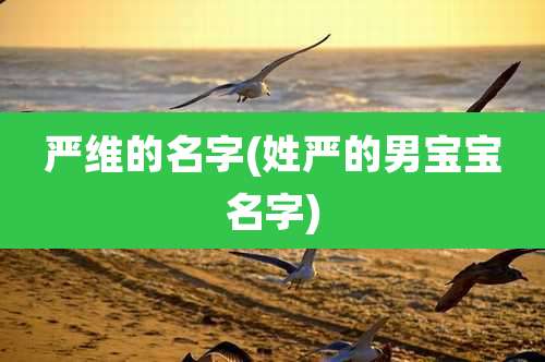 严维的名字(姓严的男宝宝名字)