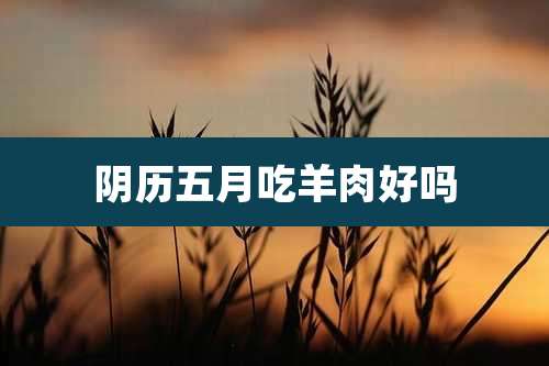 阴历五月吃羊肉好吗