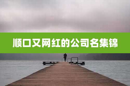 顺口又网红的公司名集锦