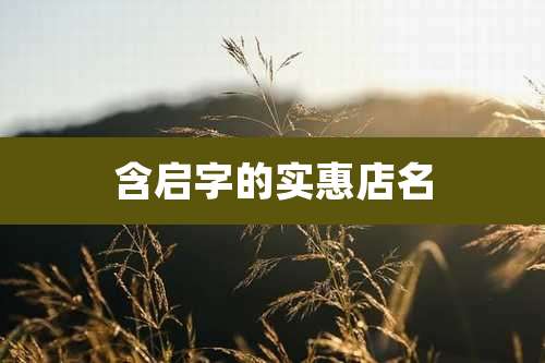 含启字的实惠店名