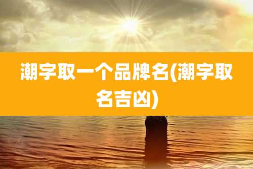 潮字取一个品牌名(潮字取名吉凶)