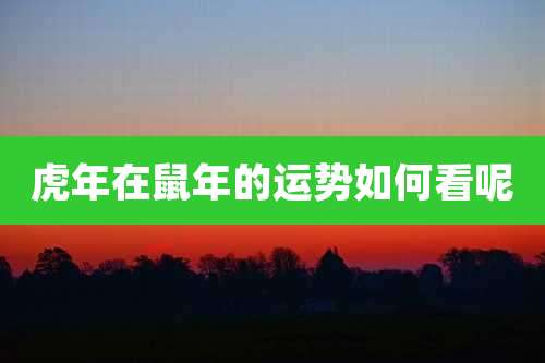 虎年在鼠年的运势如何看呢
