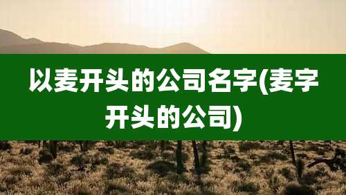 以麦开头的公司名字(麦字开头的公司)