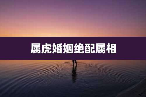 属虎婚姻绝配属相